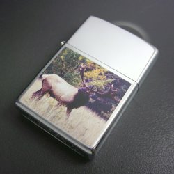 画像1: zippo シカ 両面 シリアルナンバー999/999 1996年製造