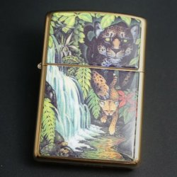 画像1: zippo MYSTERIES OF THE Forest 1995年製造 缶ケ-スなし